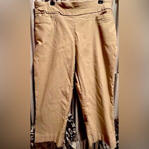 Kim Rogers Tummy Control Capris Size 12 Average